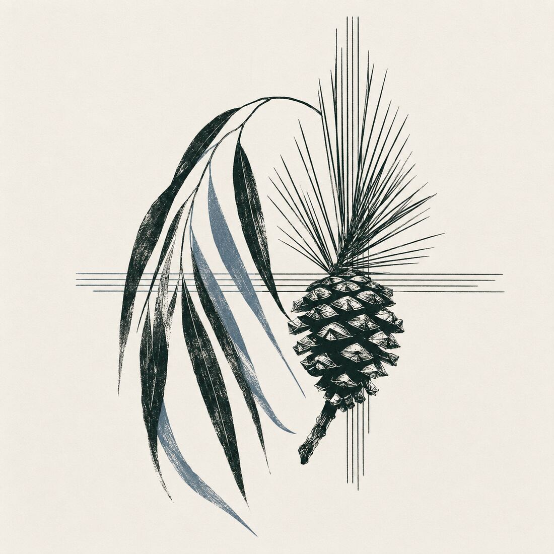 Graphic botanical study pairing drooping willow leaves with a pine cone and precise needle forms.